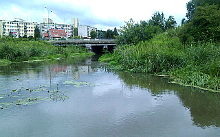 Łyna zalewa olsztyńskie ogrody działkowe. „Rzeka od lat jest zaniedbana”
